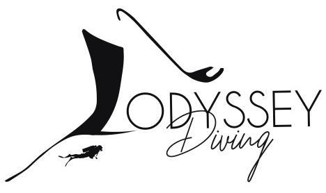 Ultinow Activity Booking Platform