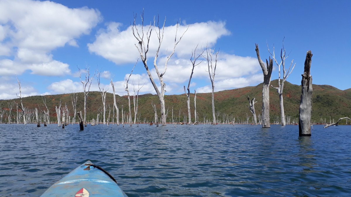 Grande Traversée Kayak - la Forêt Noyée sur tout le 2ème tiers