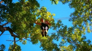 Dans les airs !