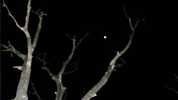 Effet d'optique, lune minuscule à la Forêt Noyée